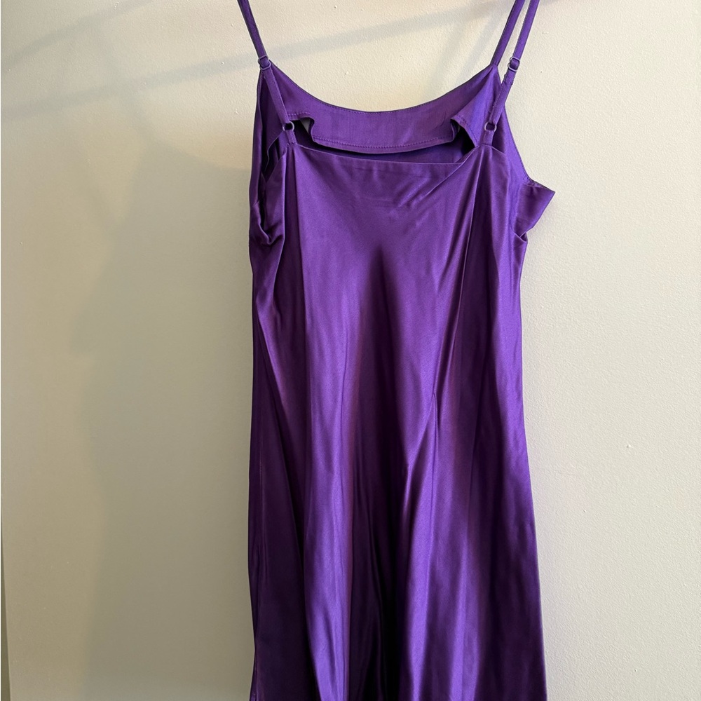 Feather Embellished Elegant Purple Sheer Dress with second piece under dress - Picture 13 of 15